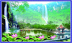 自然美景
