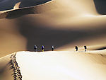 沙漠旅行