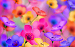 抽象花卉图案设计