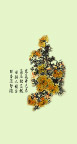菊 国花 移门  彩绘  玻璃