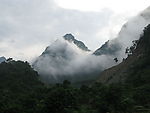 执带雨林风光