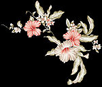 牵牛花花卉底图
