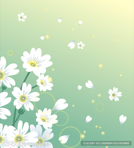 美丽花纹