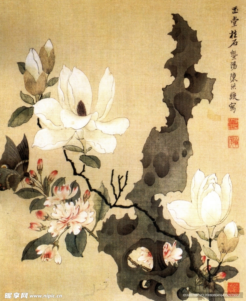 玉兰