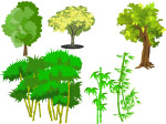 植物矢量图