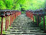 日本山间长廊