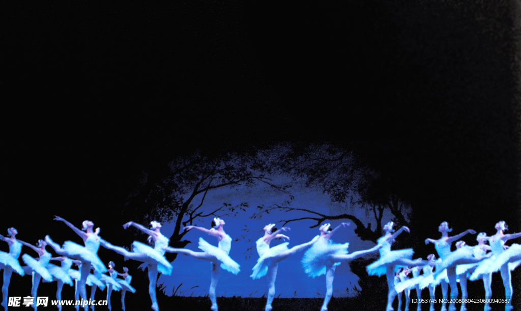 芭蕾舞天鹅湖5