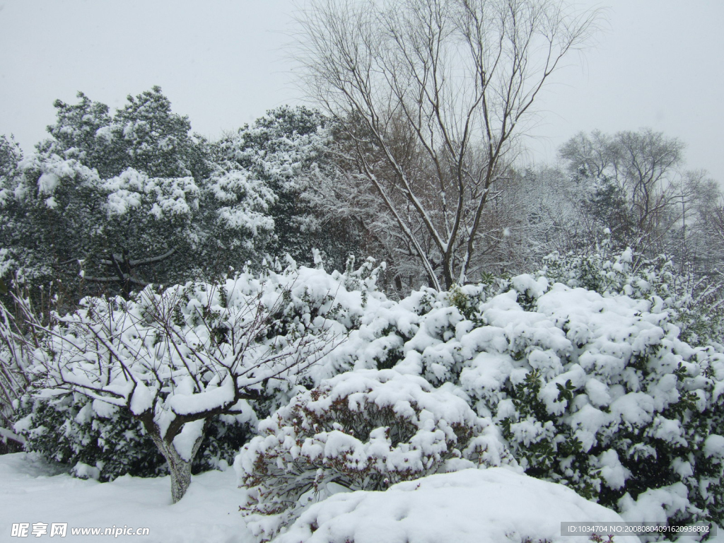 江苏常州07年雪景