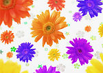美丽的鲜花底纹