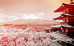 富士山
