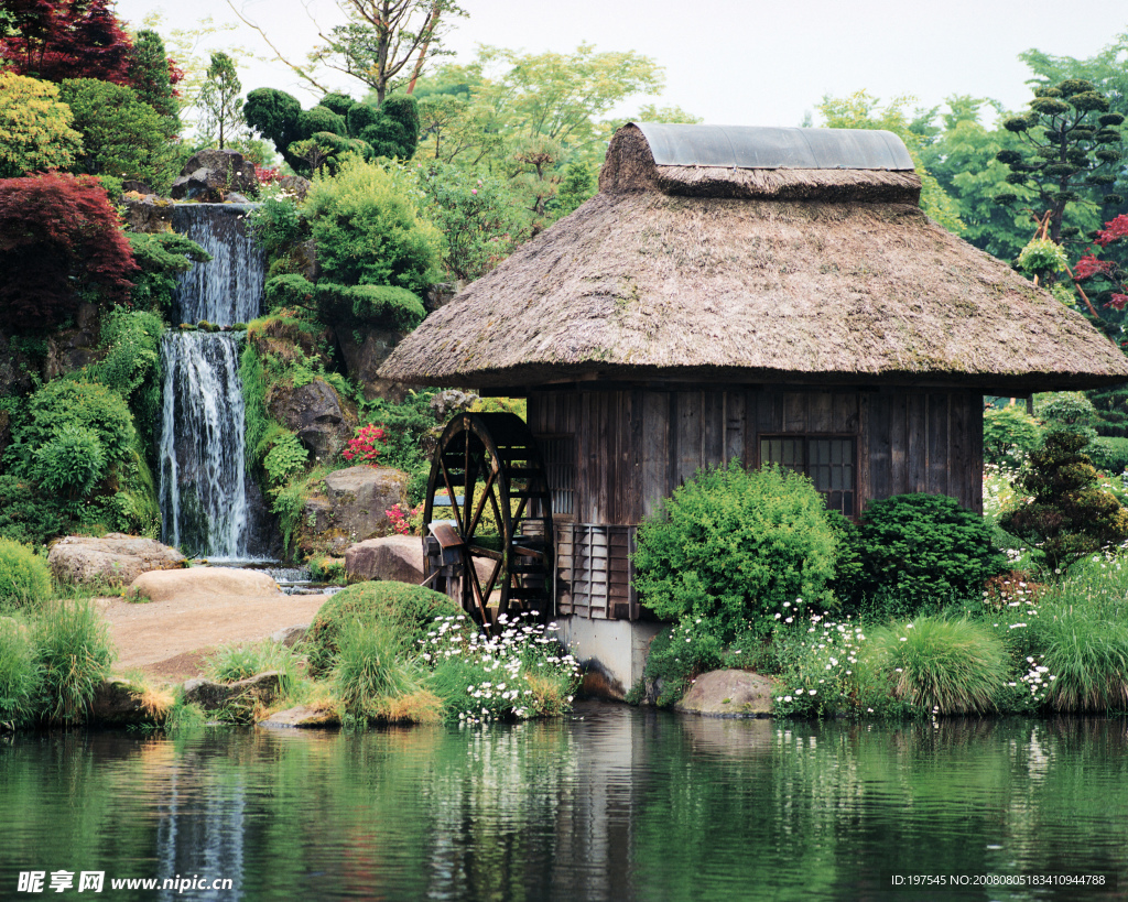 茅草屋风景