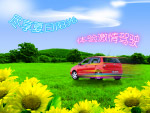 汽车 向日葵 夏日风光