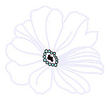 psd 分层花纹