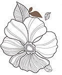 psd 分层花纹
