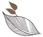 psd 分层花纹