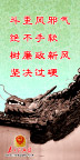 廉政建设24