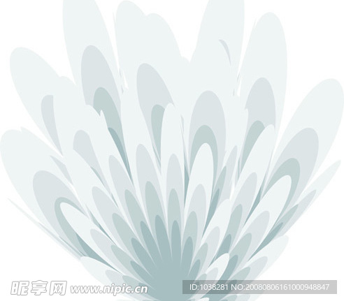 羽毛