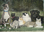 油画 狗和猫