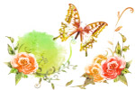 蝴蝶与花
