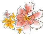 psd 分层花纹