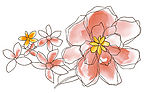 psd 分层花纹