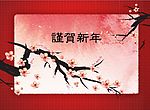 梅花