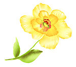 psd 分层花纹