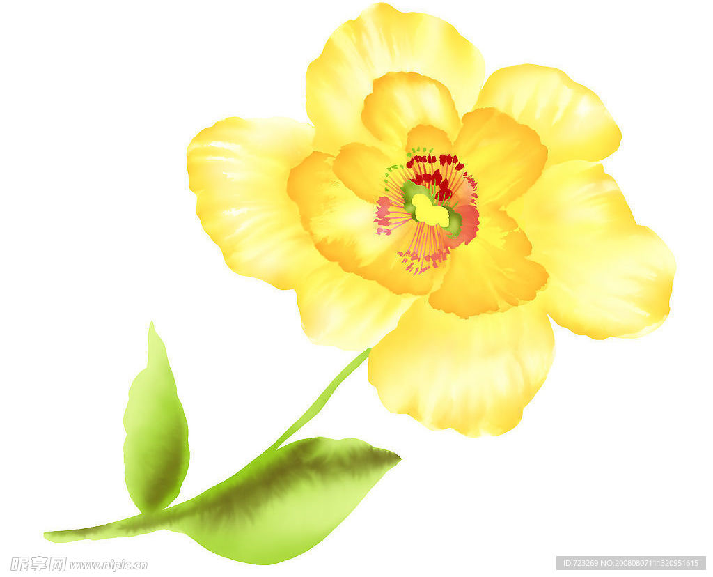 psd 分层花纹