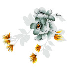 花国花菊花