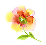 psd 分层花纹