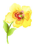 psd 分层花纹