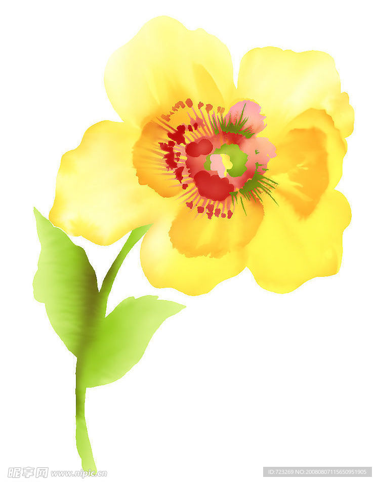 psd 分层花纹