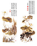 高板墨荷