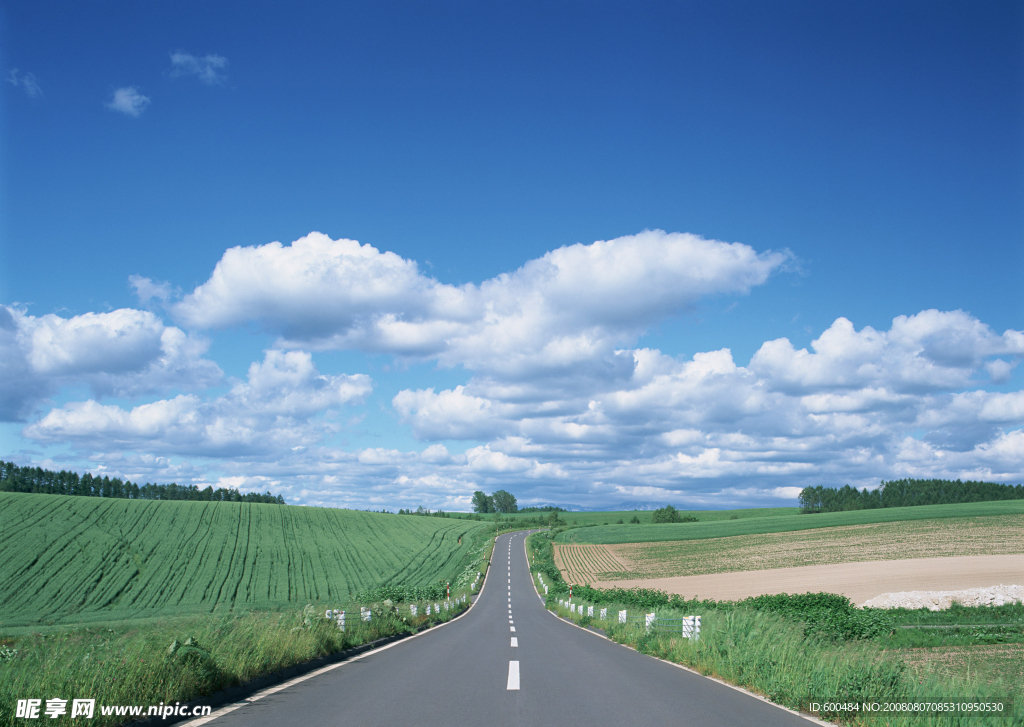 道路美景