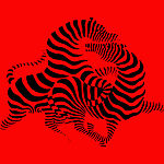 斑马