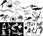 海洋生物