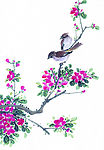 中国国画