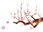 梅花