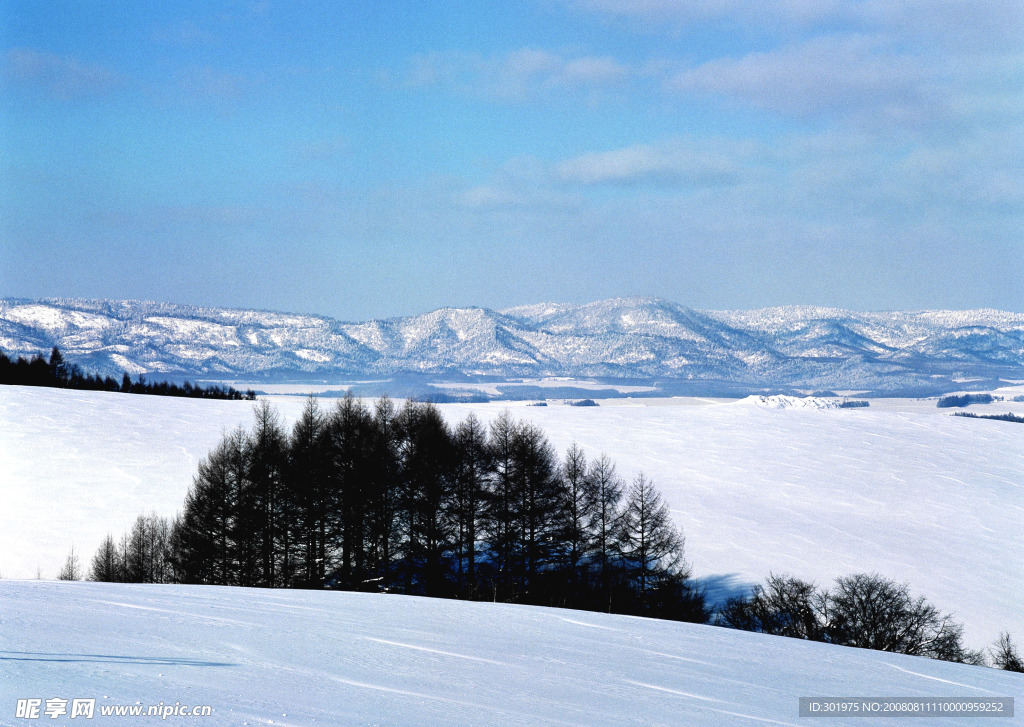 冰天雪地系列