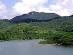 森林山水