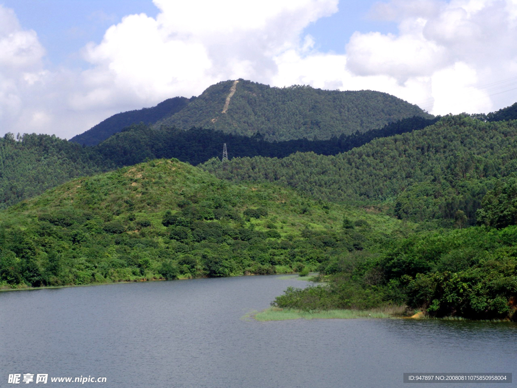森林山水