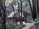 森林小屋