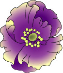 花纹