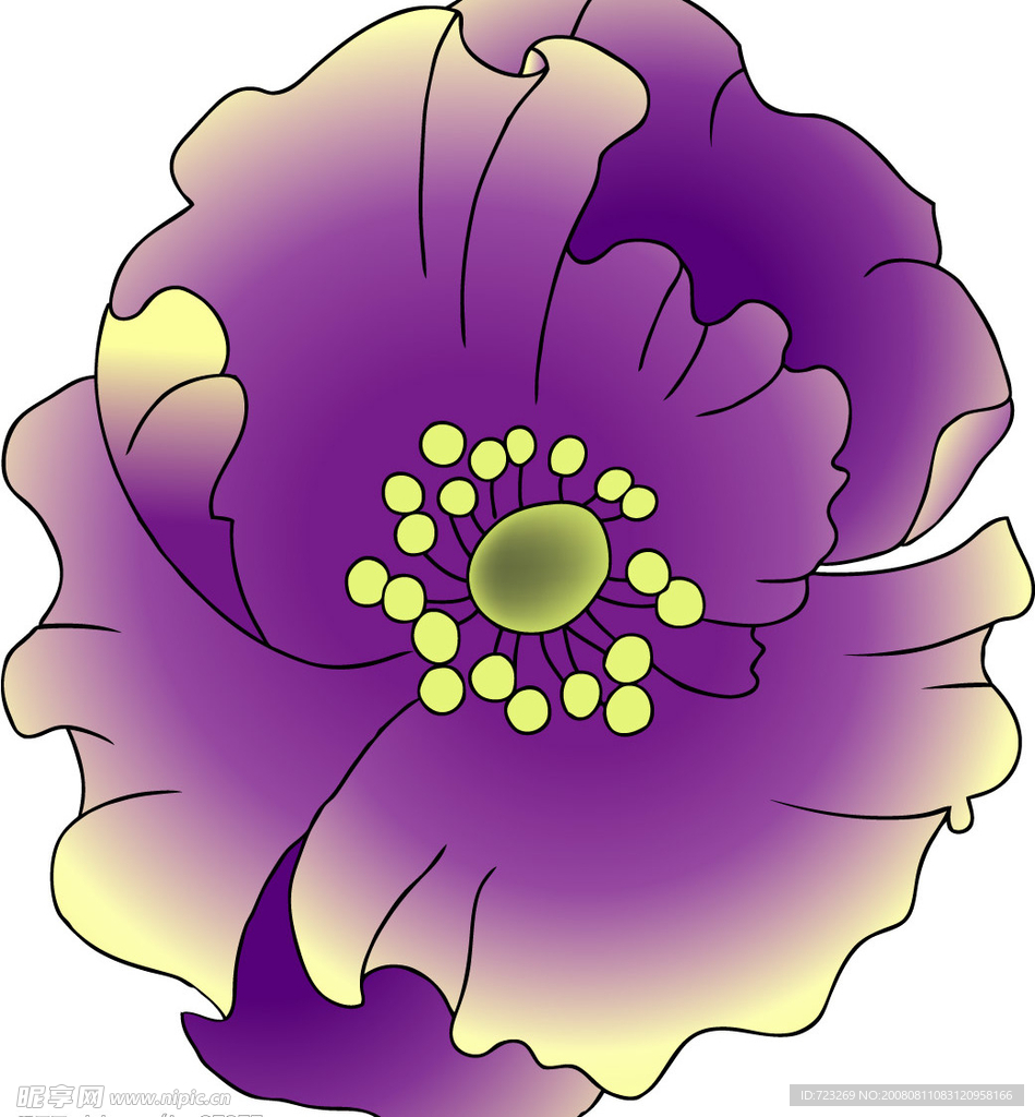 花纹