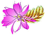 psd 分层花纹