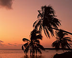 海霞漫天