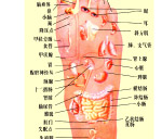 足疗示意图