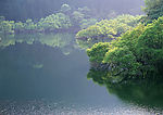 湖景