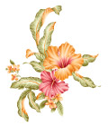 艳丽花纹