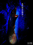 公益广告招贴